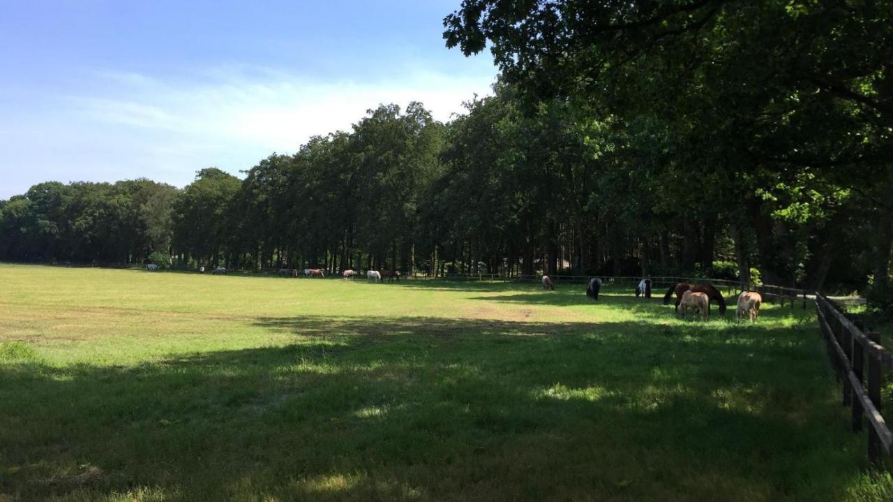 Boerderij De Enkhoeve Laag-Soeren Luaran gambar