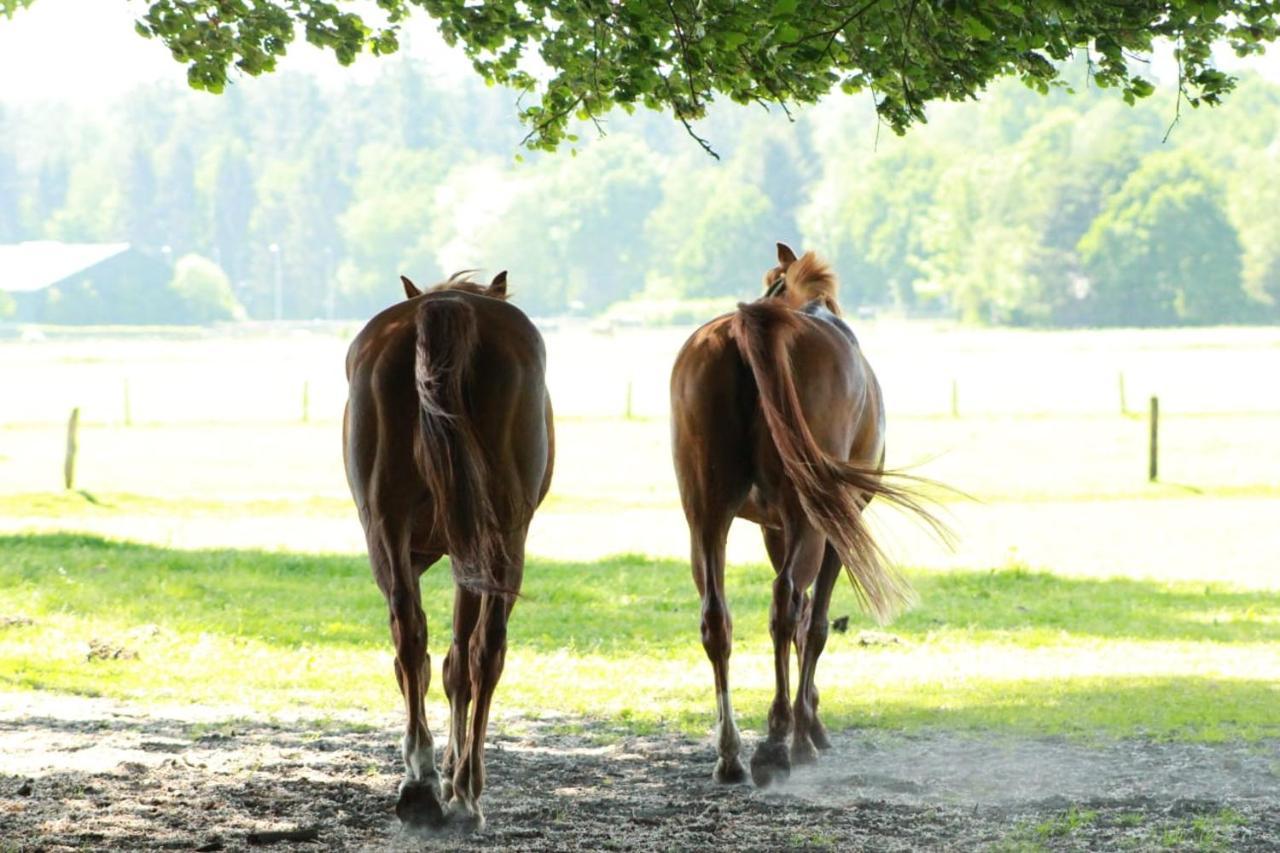 Boerderij De Enkhoeve Laag-Soeren Luaran gambar