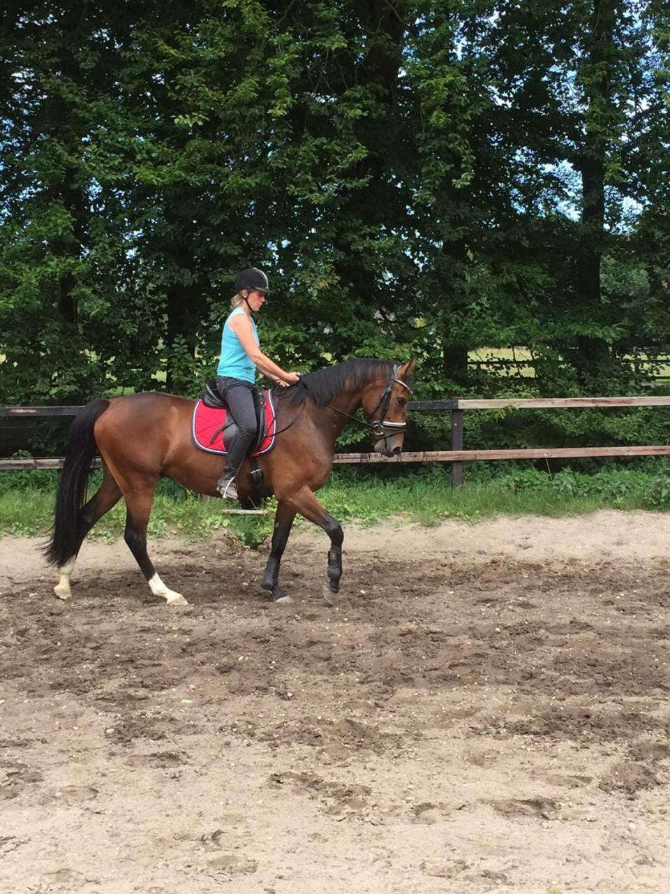 Boerderij De Enkhoeve Laag-Soeren Luaran gambar